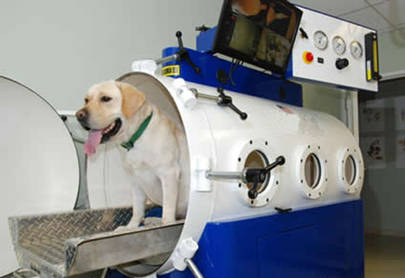 camaras hiperbaricas